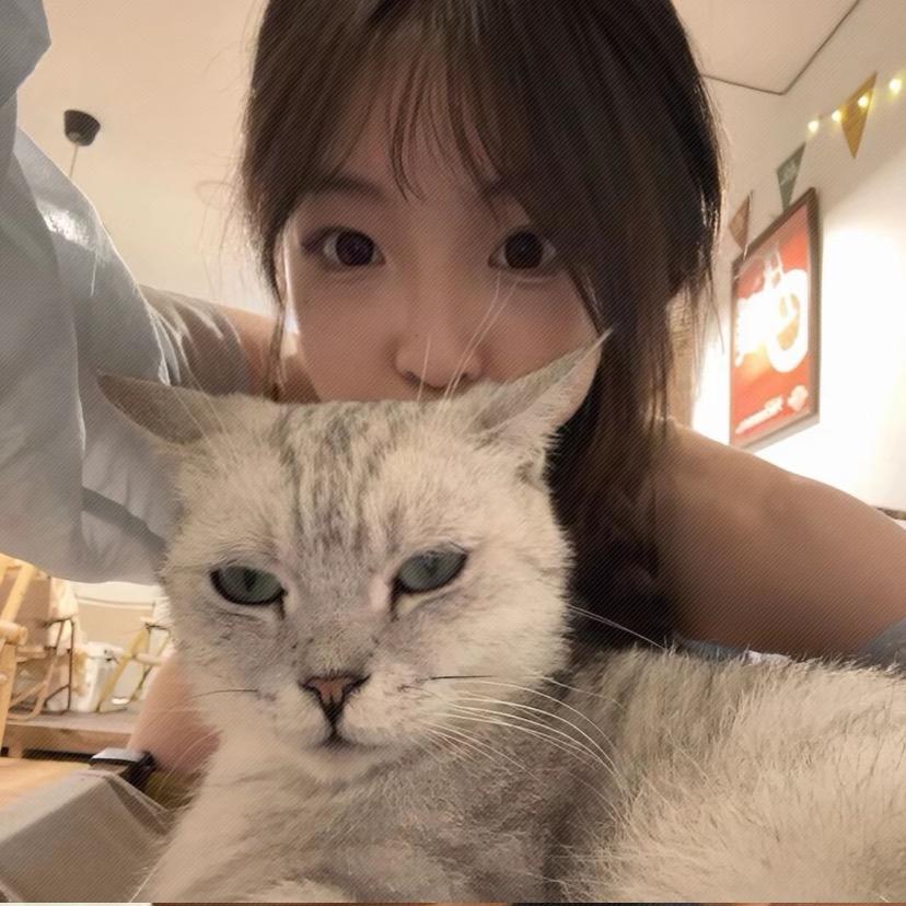围裙