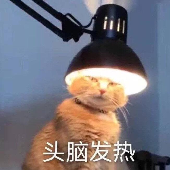 西安在逃肉夹馍