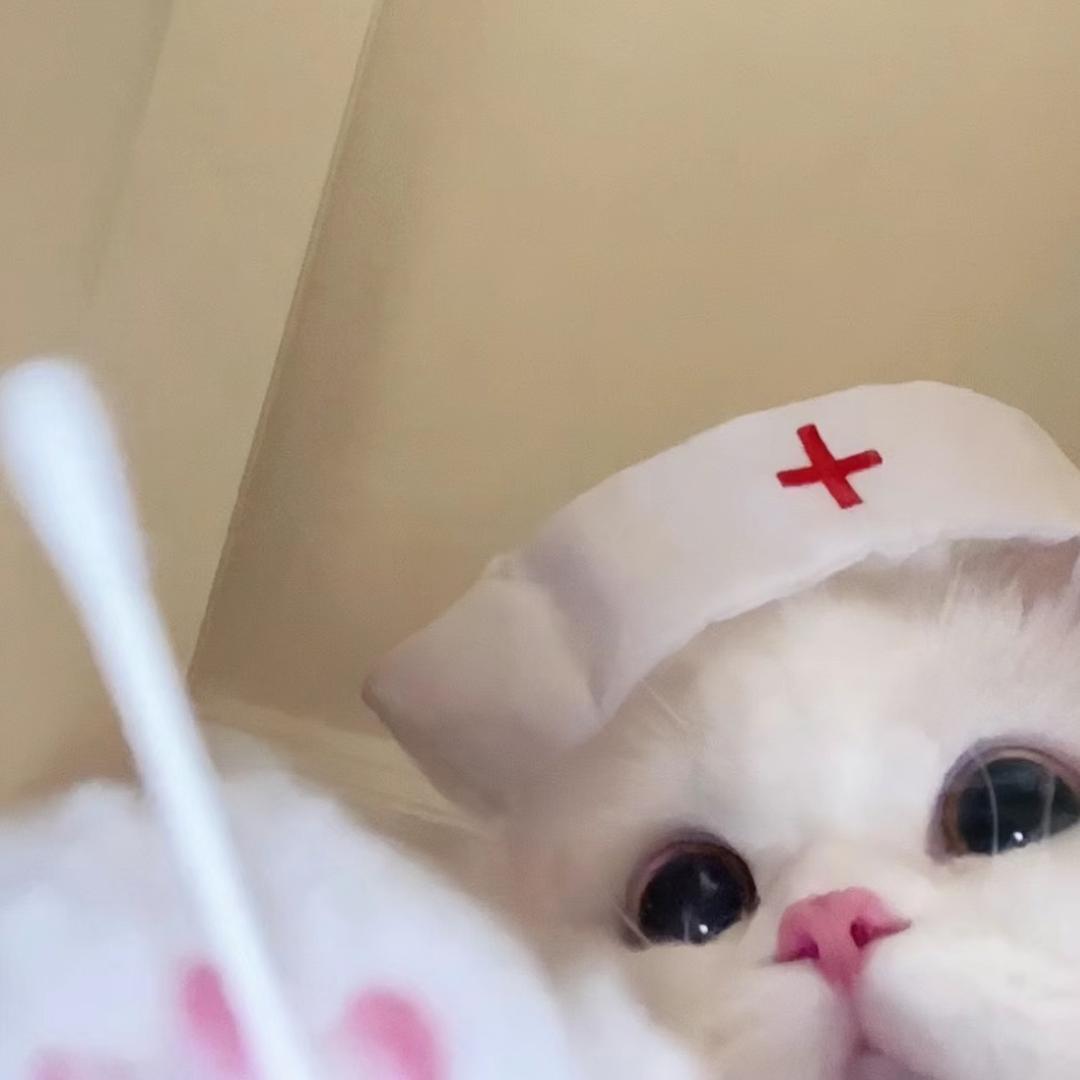 小美晶🍓