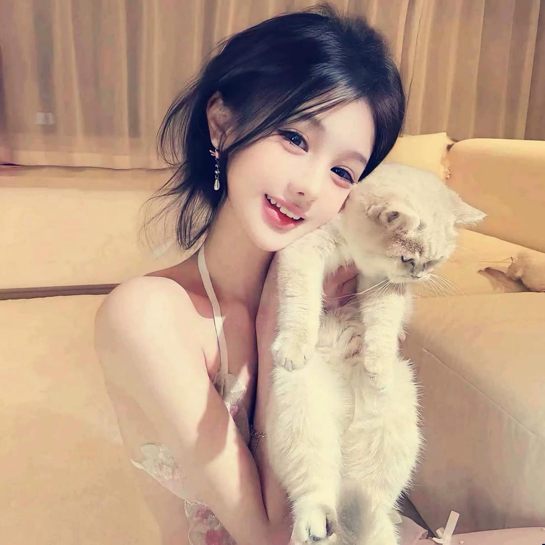 巷子里的猫^