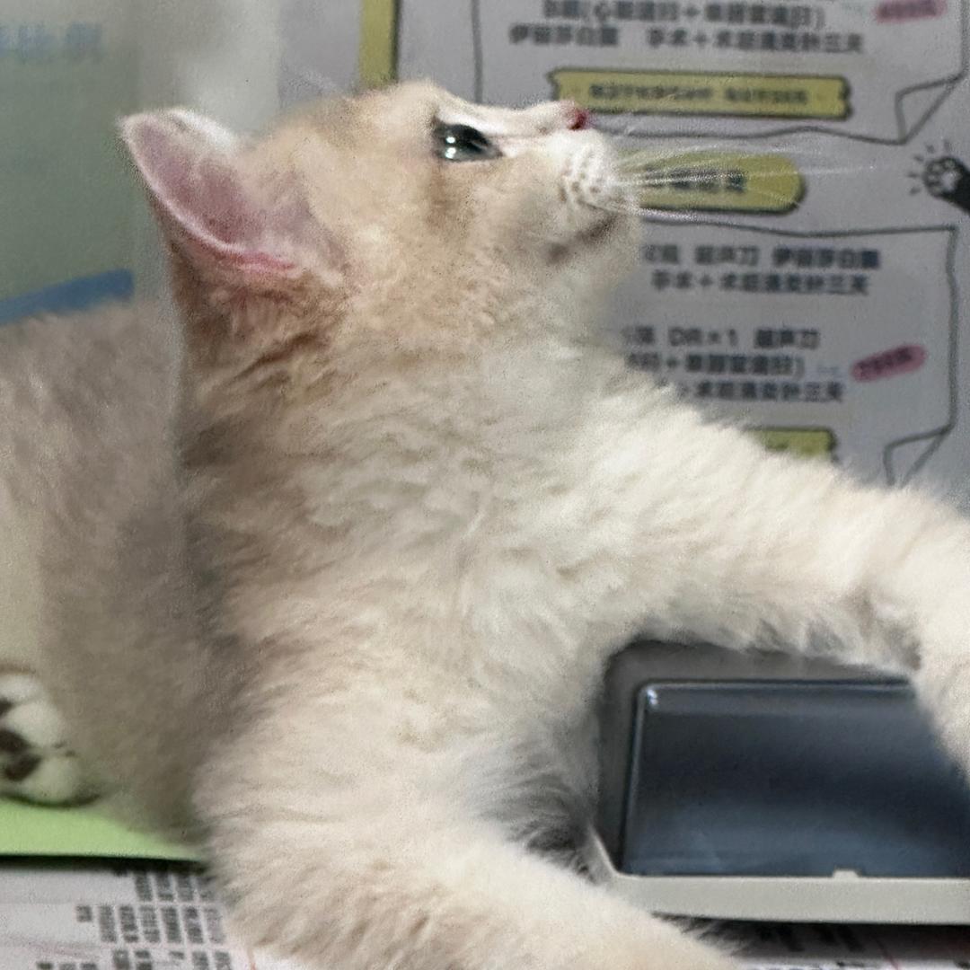 哭完了吗 哭完挂了.