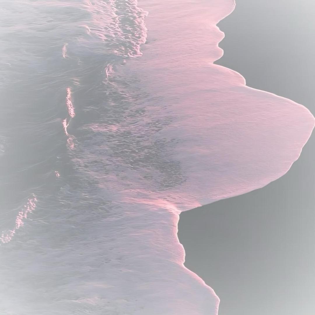 丛淑