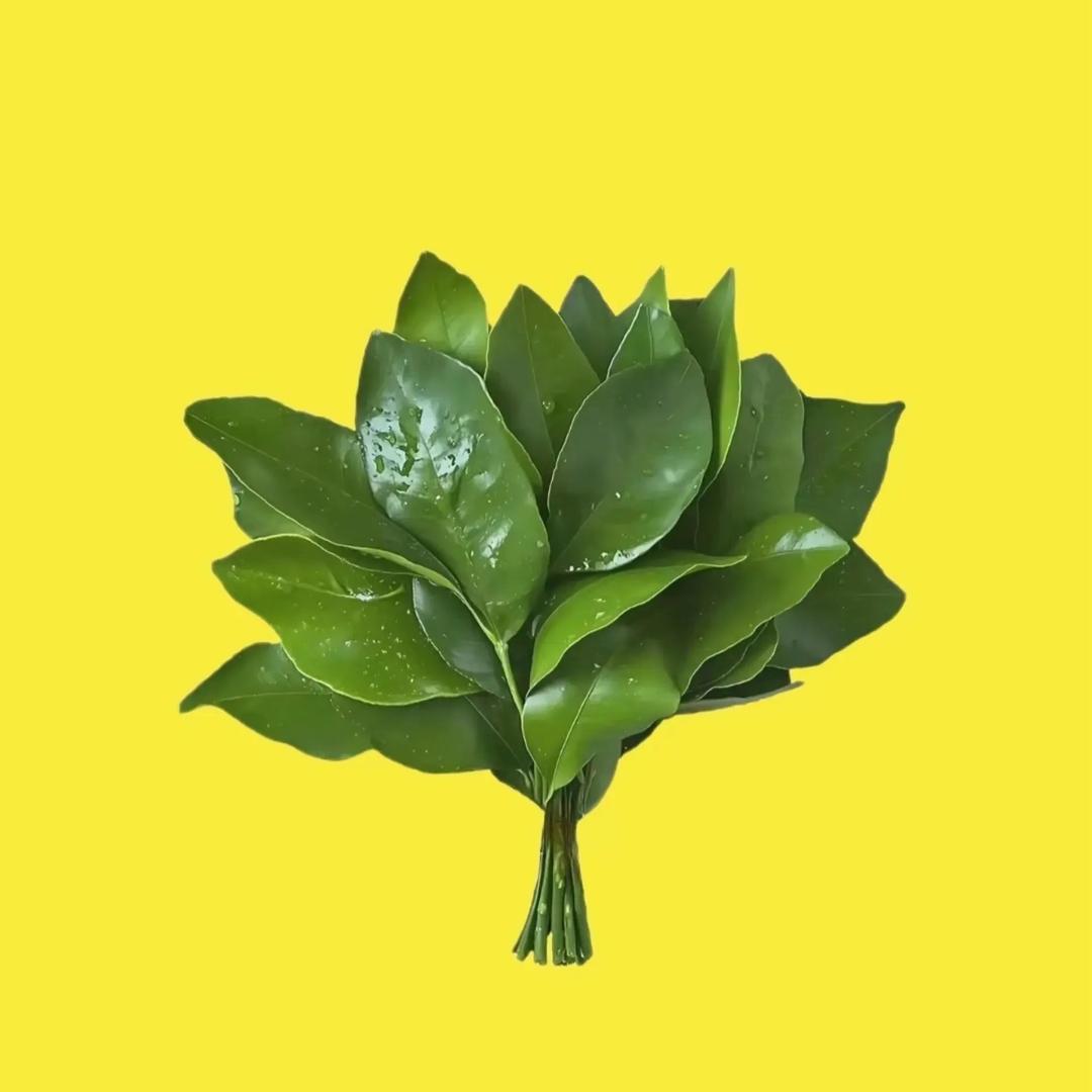 我的朋友圈