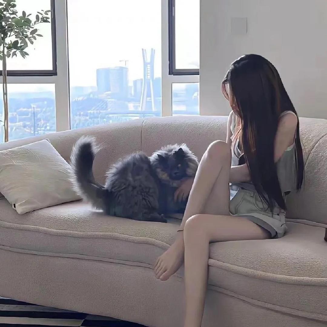 O 椰椰