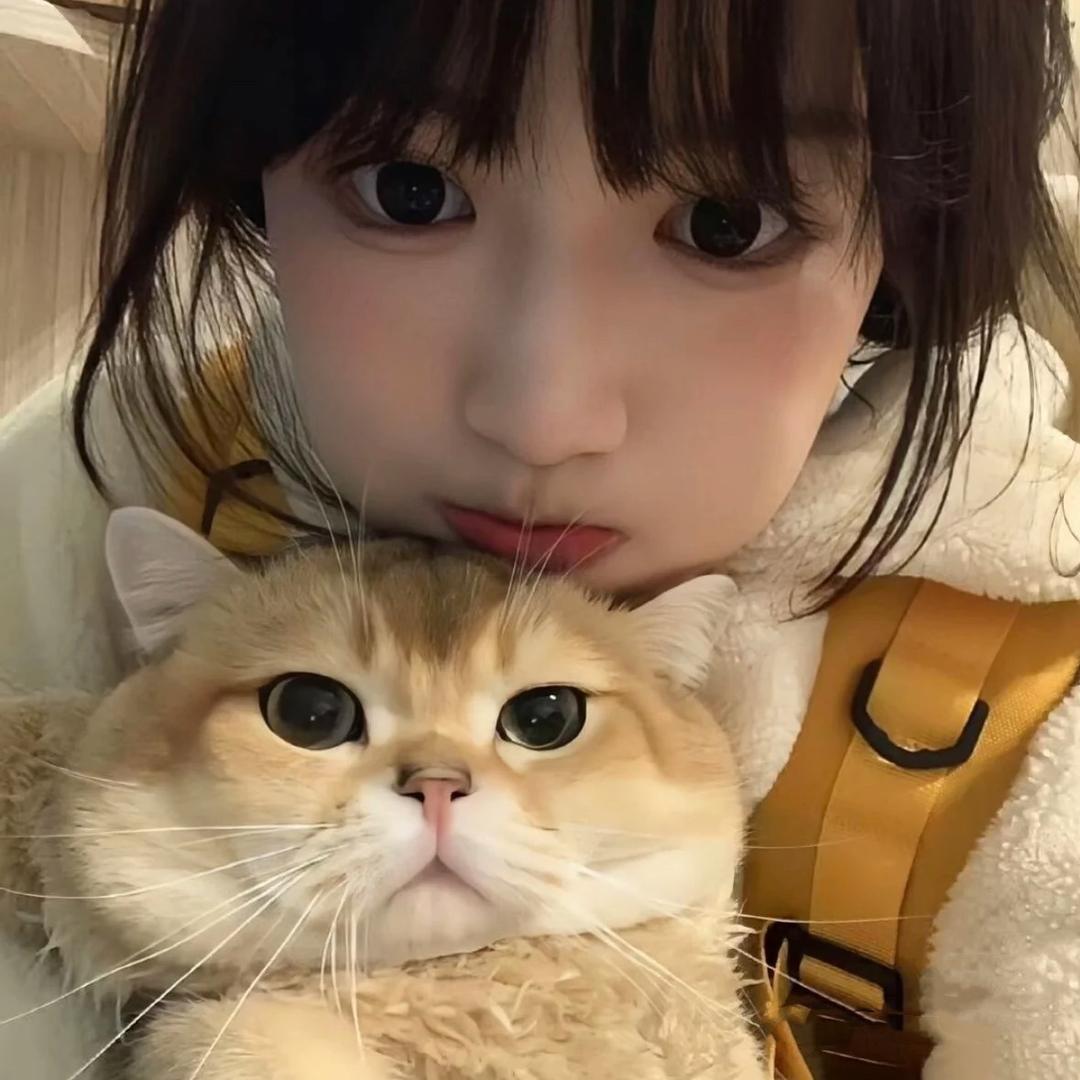 ʚ小鱼ɞ