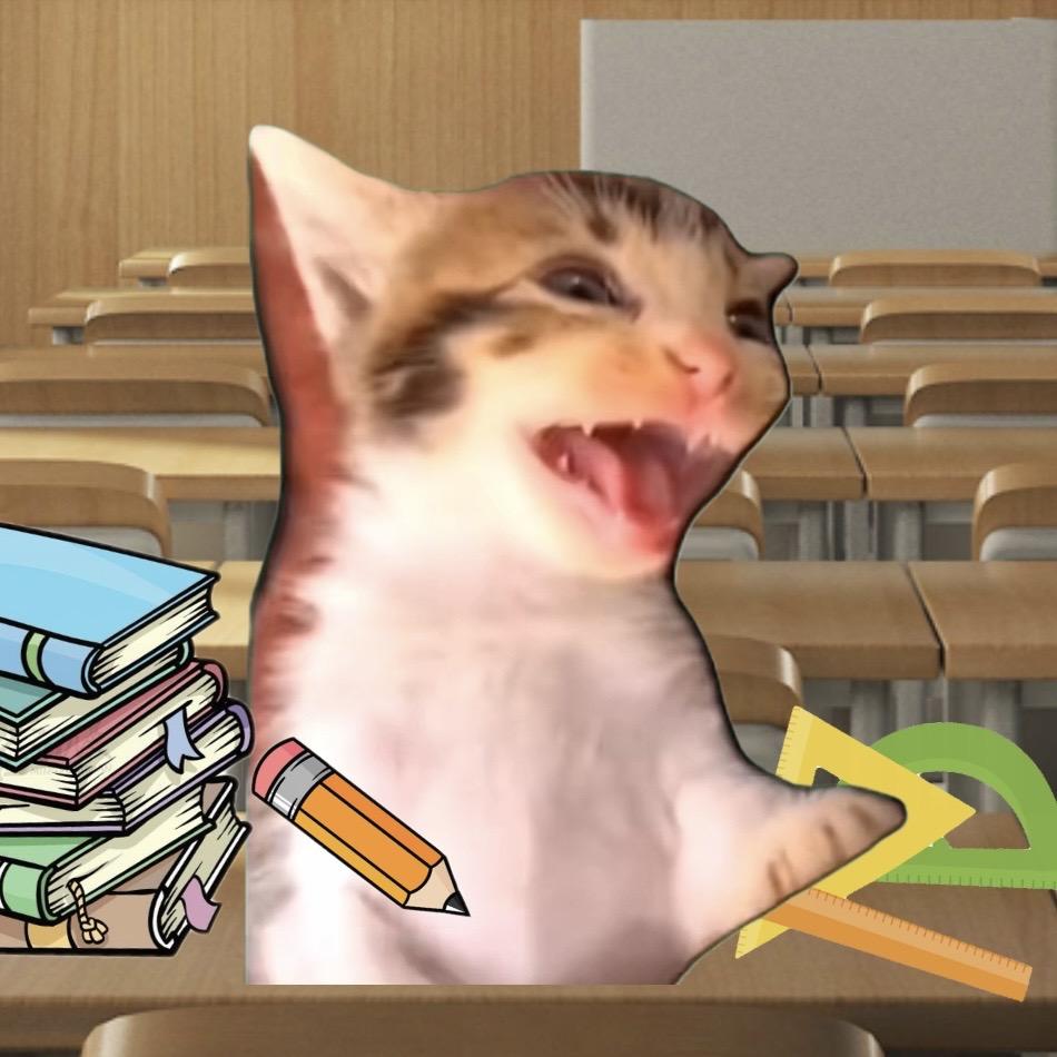 小猫娃娃丢