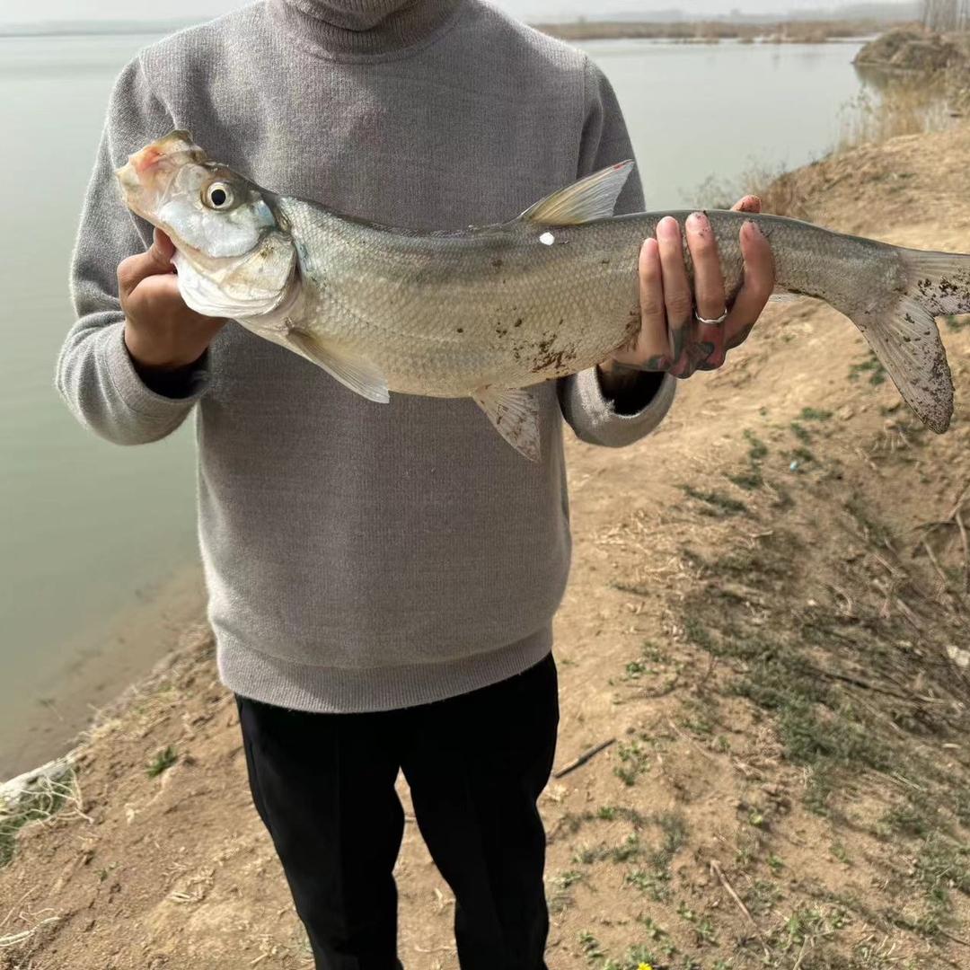 00后未签约钓手