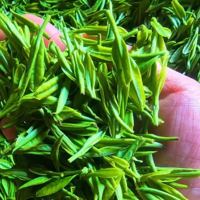 阿涛茶叶