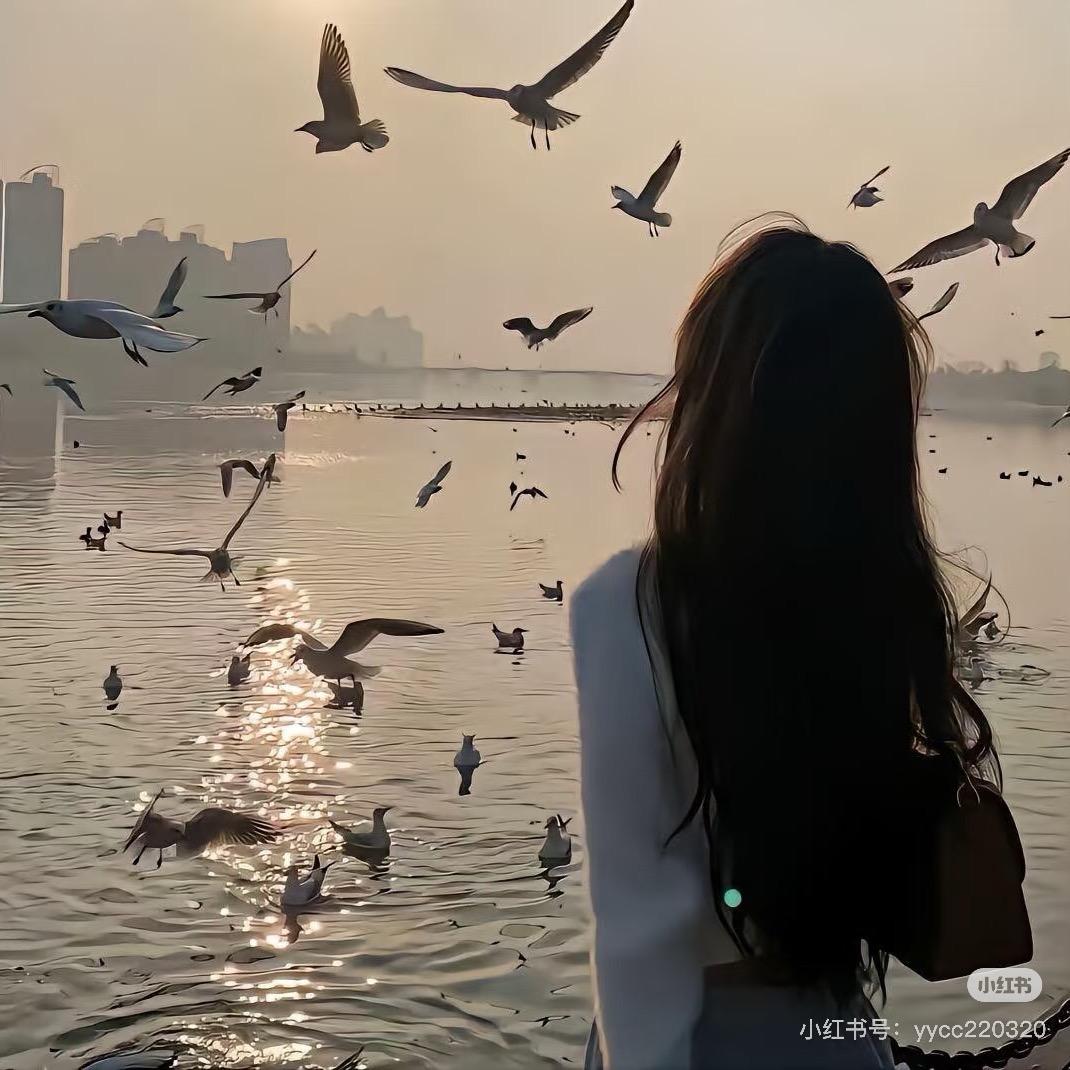 💞এۣۖิ 遇ꦿ꯭見伱꧔ꦿ ᭄💞：