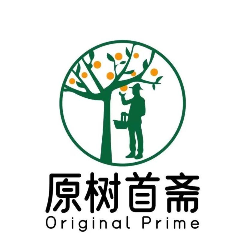 原树首斋