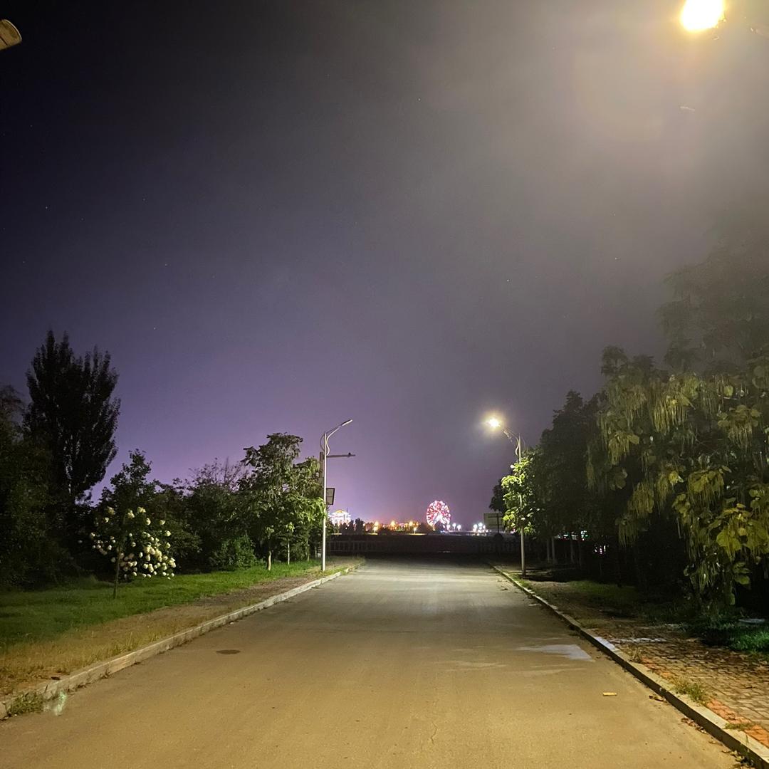 蛮不错的卤鸭肝