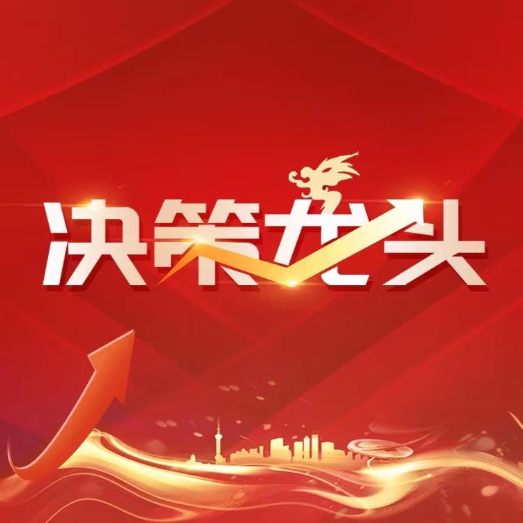 决策龙头