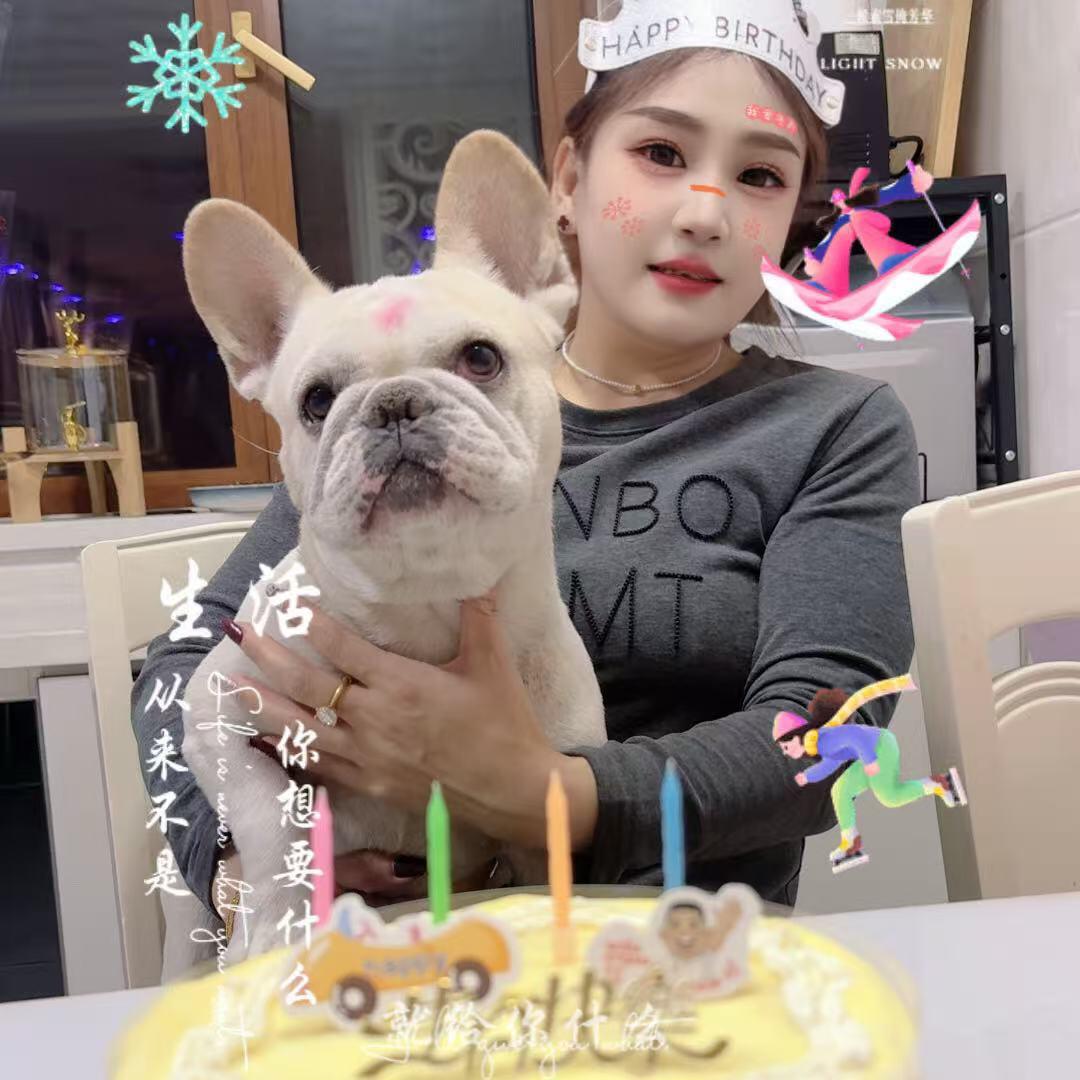 我可爱的狗狗🐶小可乐