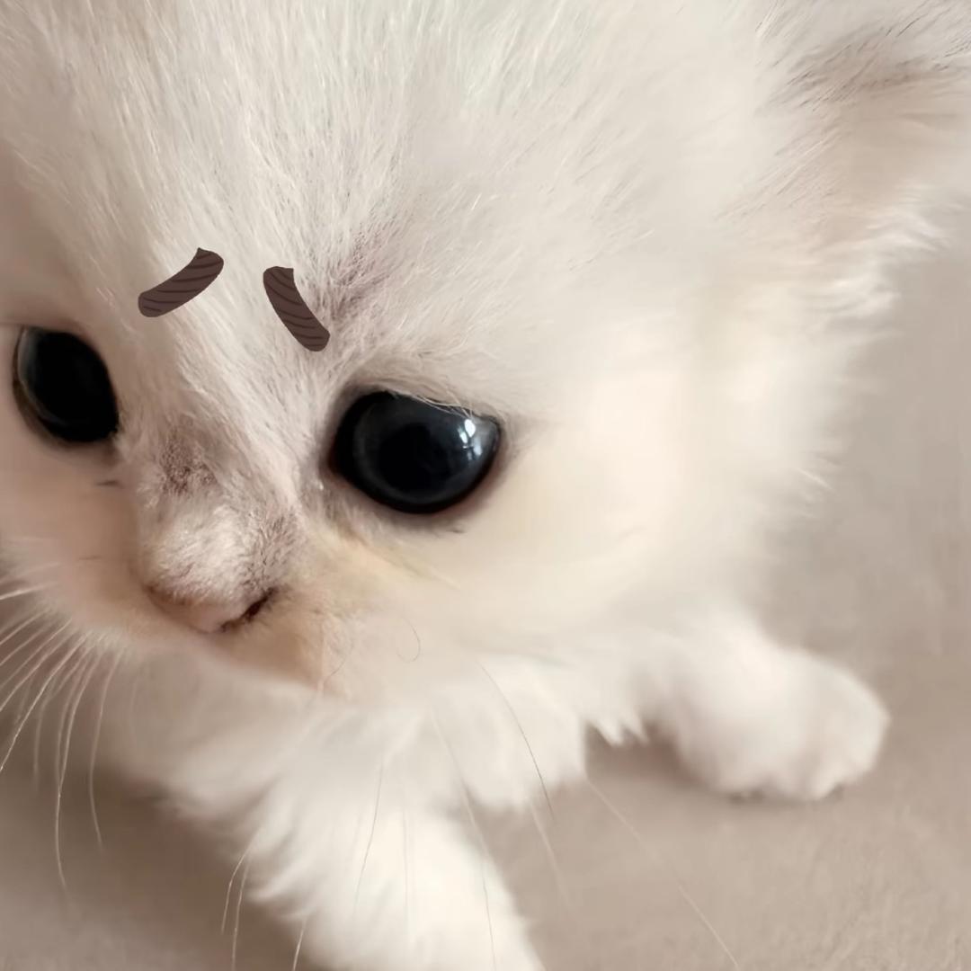 咪