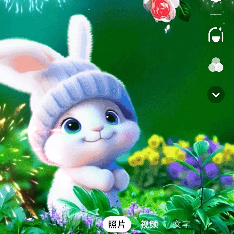 玉兔迎春旺……