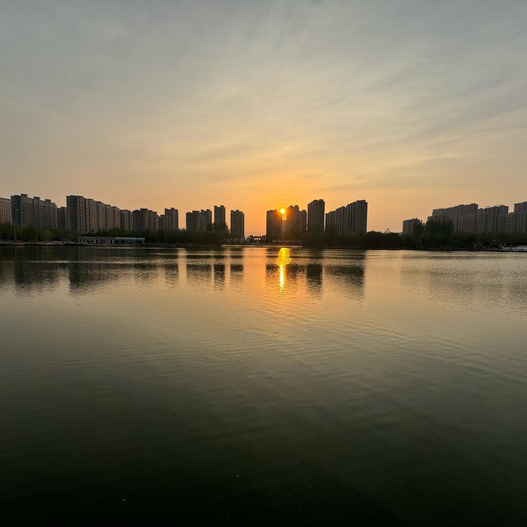 zhang