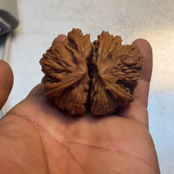 异核錧小白