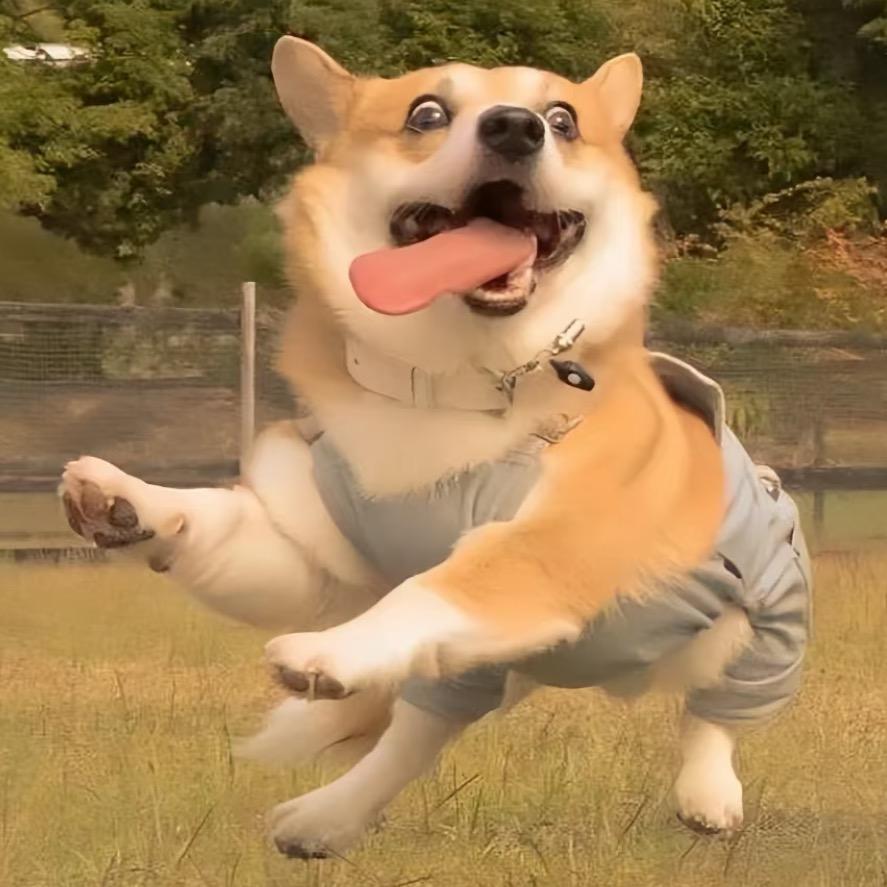 拟好