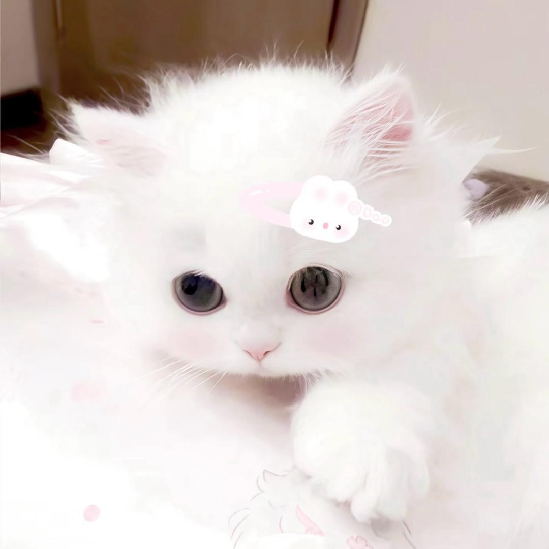 盒盒盒