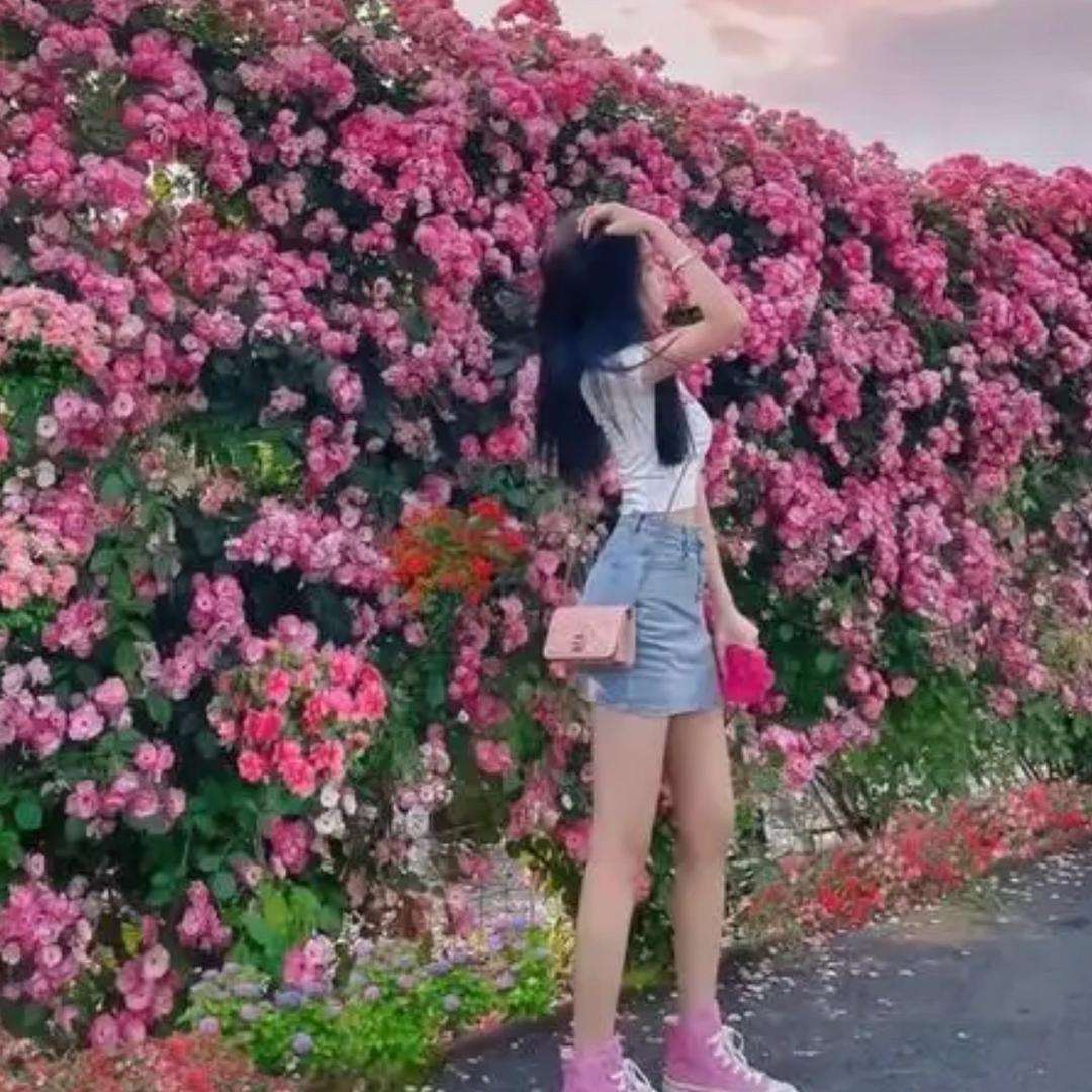 成都乐意李