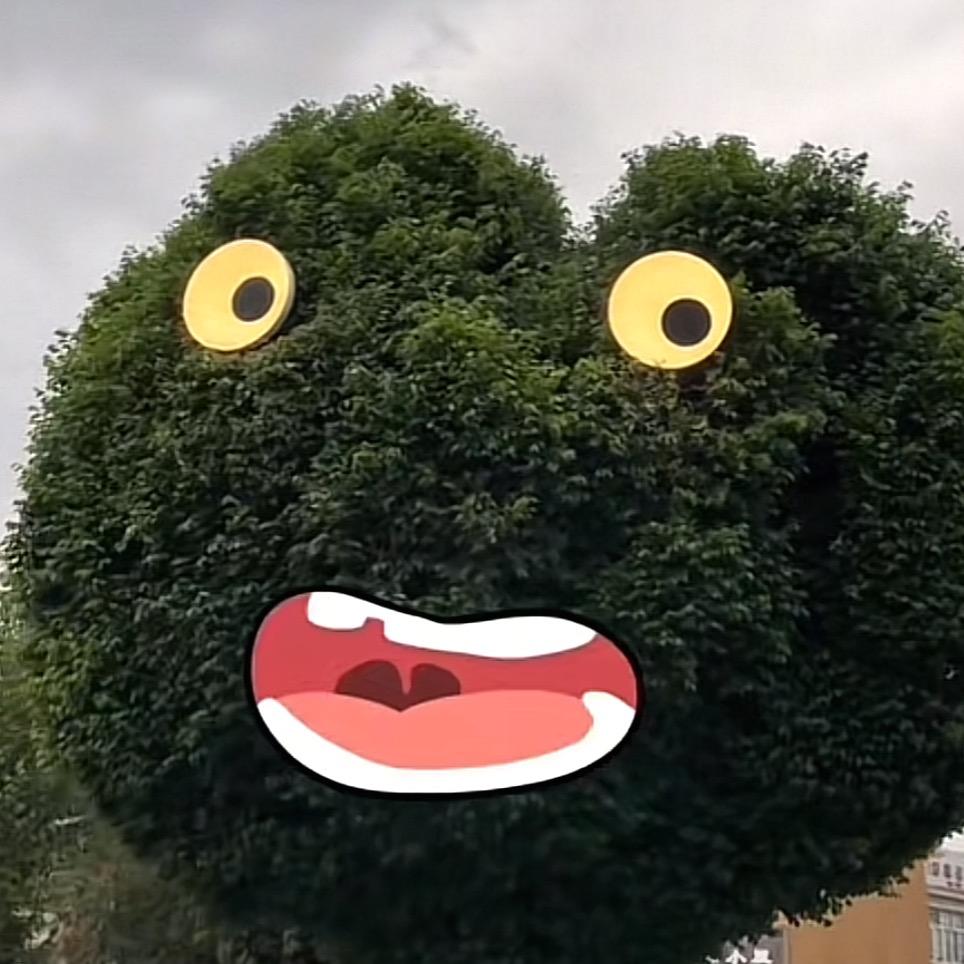 天山绿野｜Saya在路上