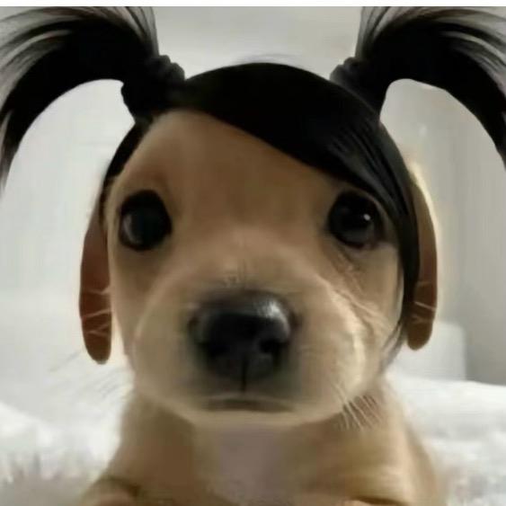 皇帝🫅