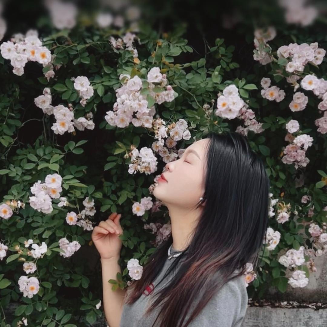 秀山家电倩倩