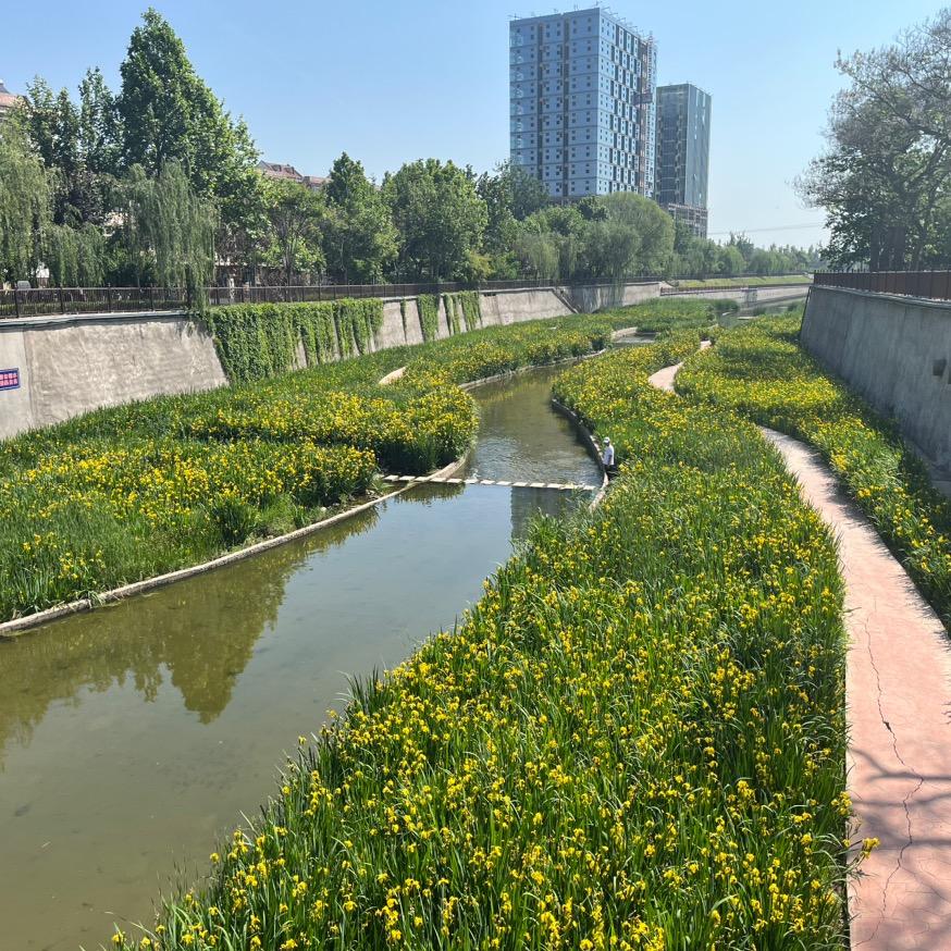 天空飘来的五个字