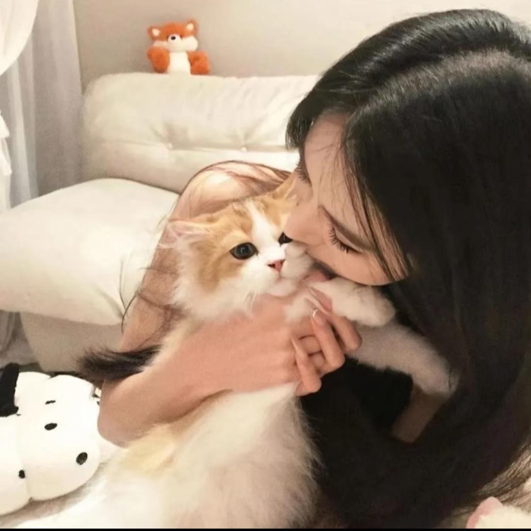 沈不甜