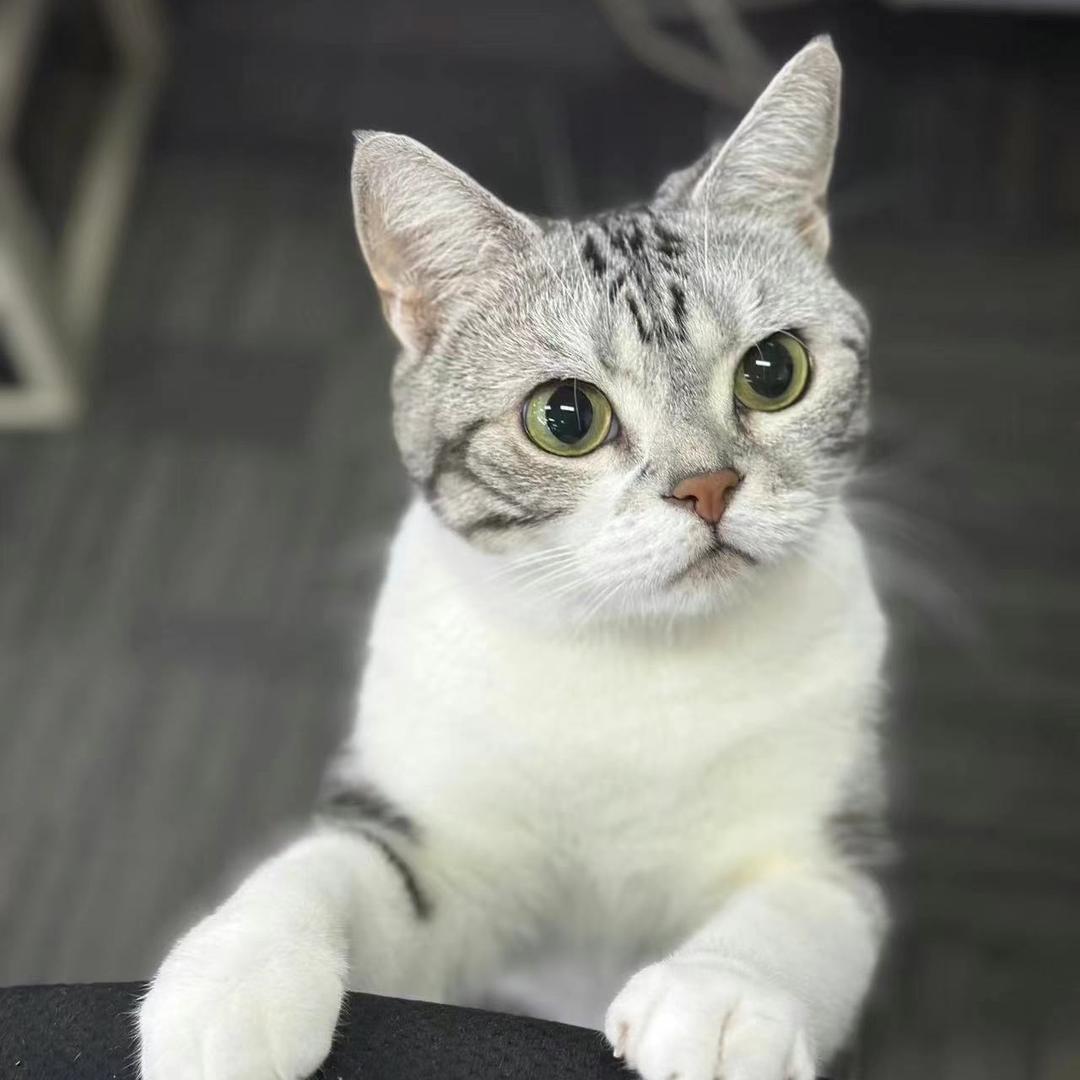 庭院深深🥦🍅🥔🍭🇨🇳