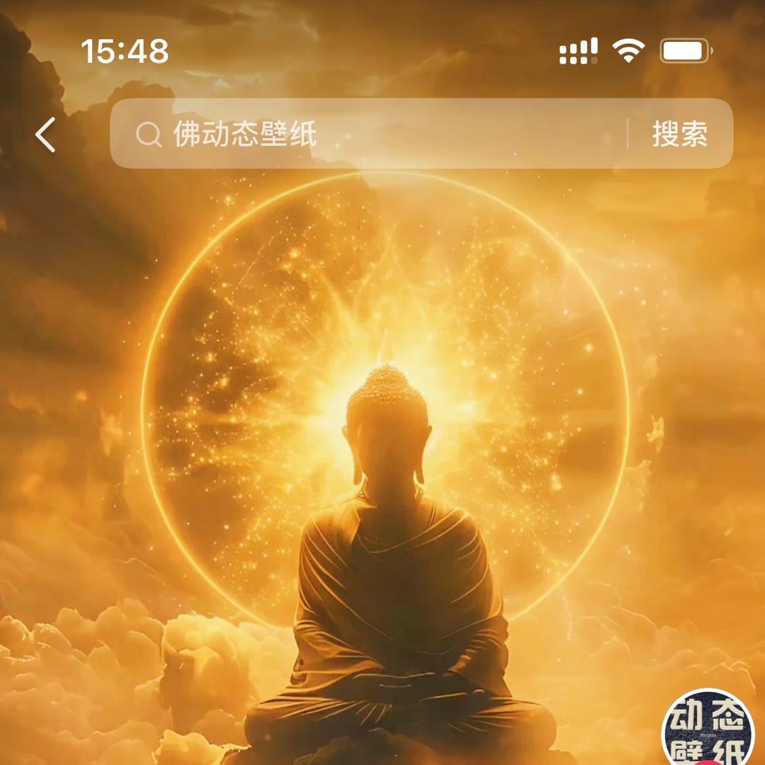 道来文化