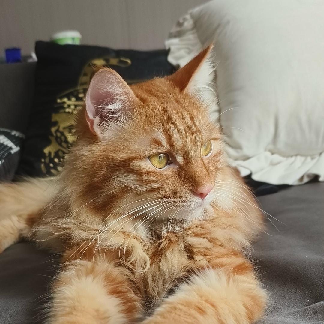 一袋米要抗几楼