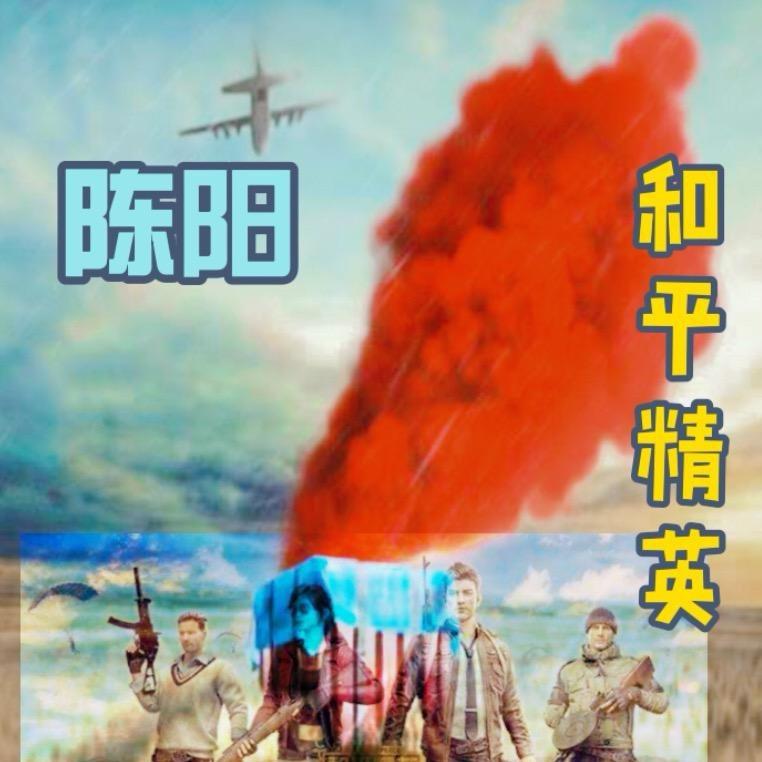 陈阳精英