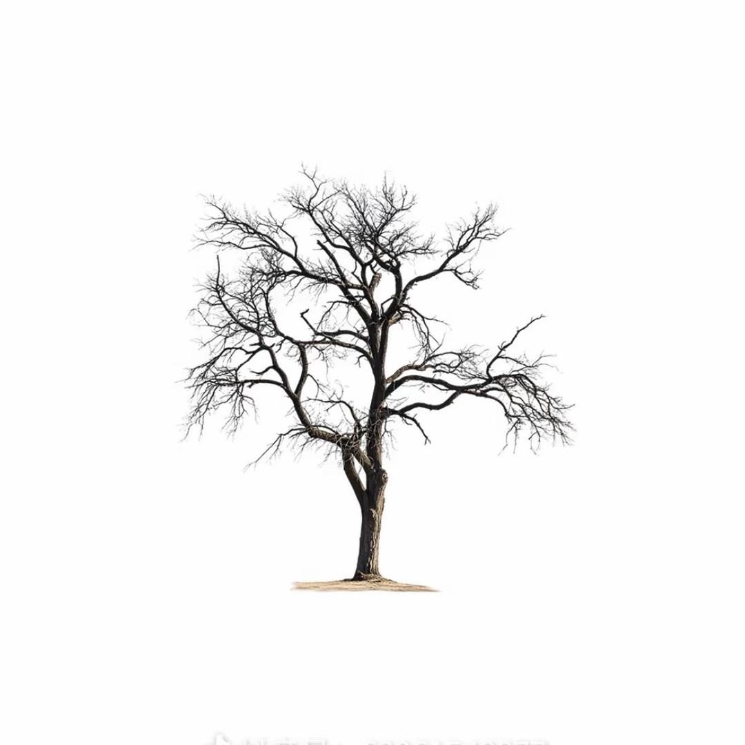 阿弥陀佛么么哒