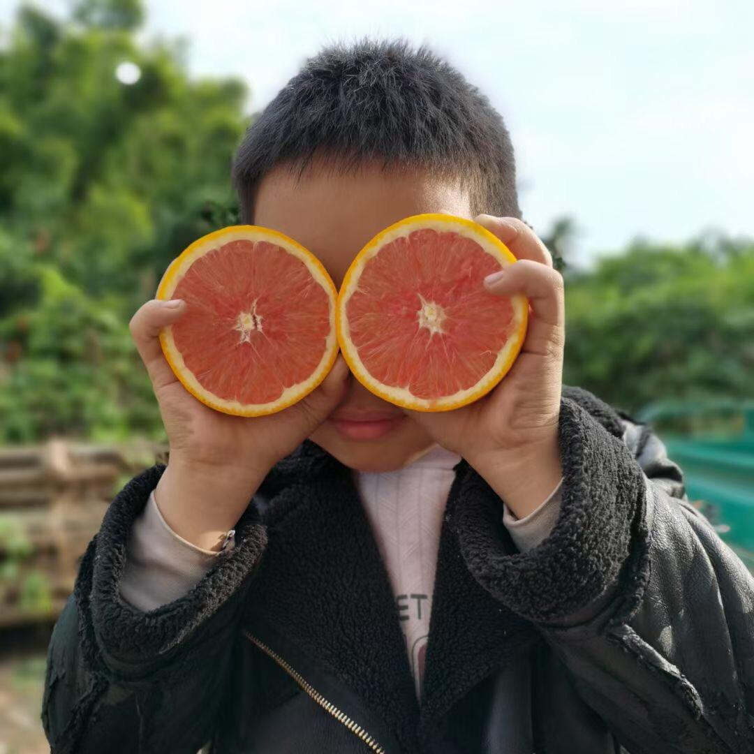 村乡山人