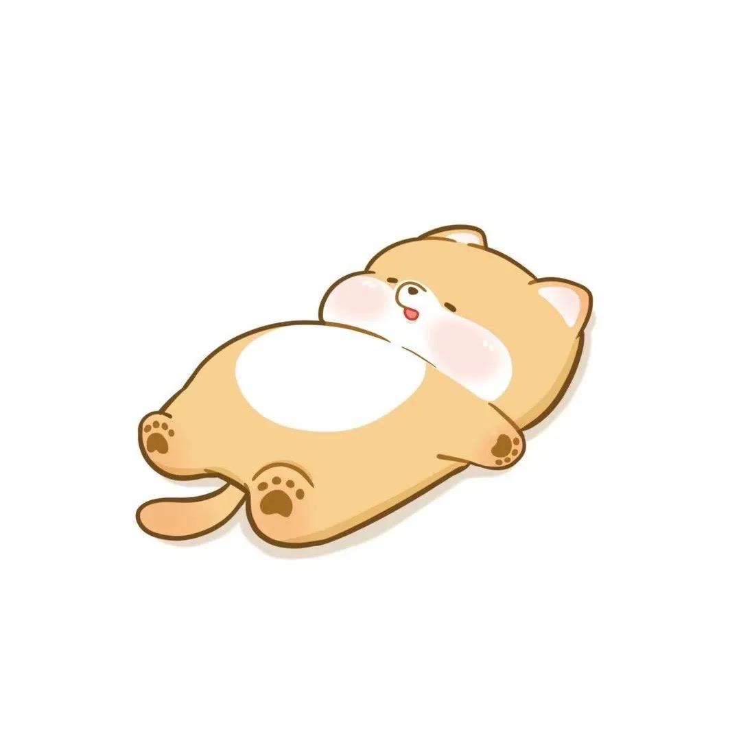 生了个胖气