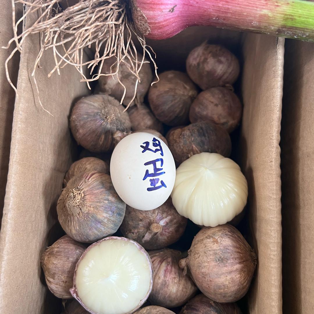 云南小啊哥（豌豆季）