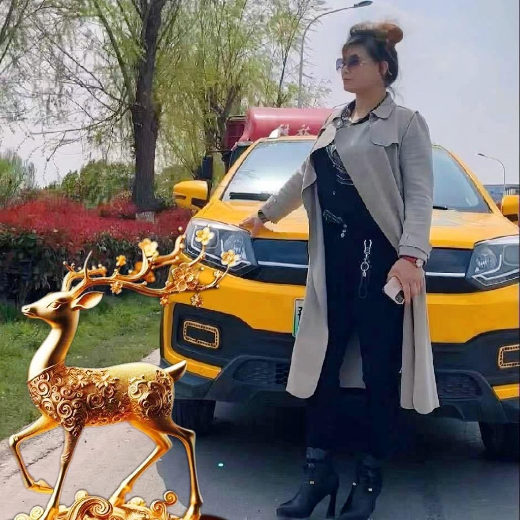 韩鹏鹏新能源汽车