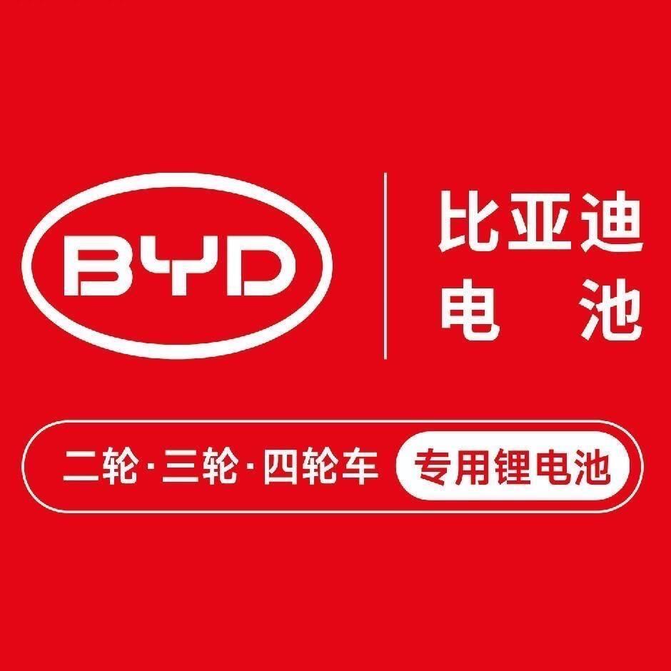 比亚迪锂电池鲁山县总代理