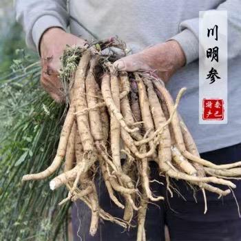 刘哥收山货(收徒)