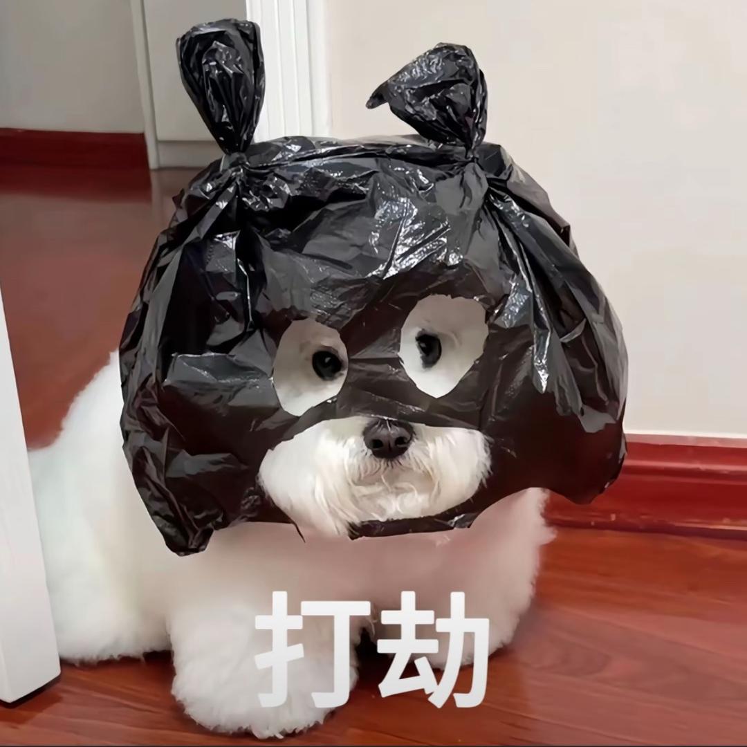 葱葱蛋炒饭