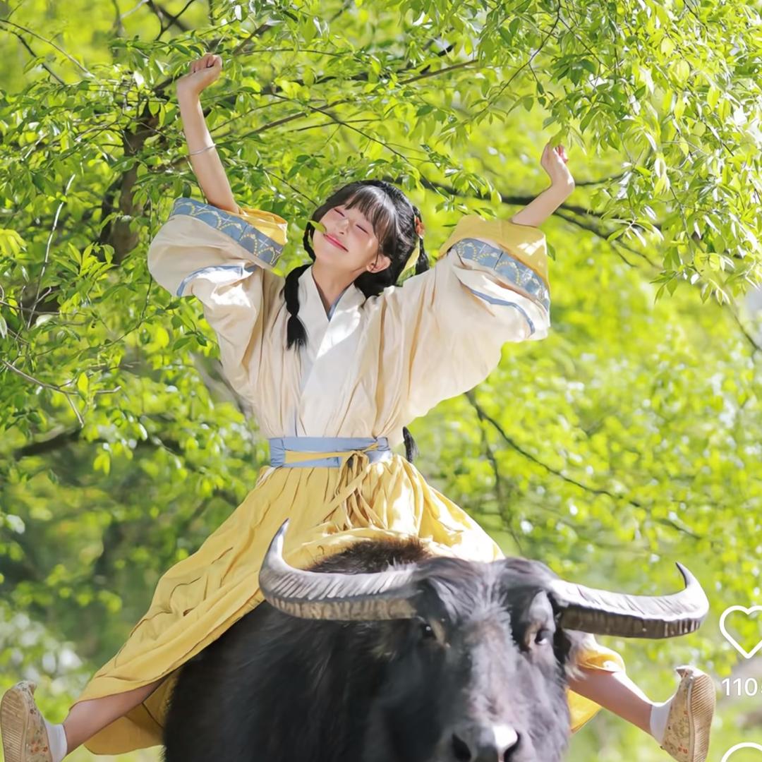 江西导游花花