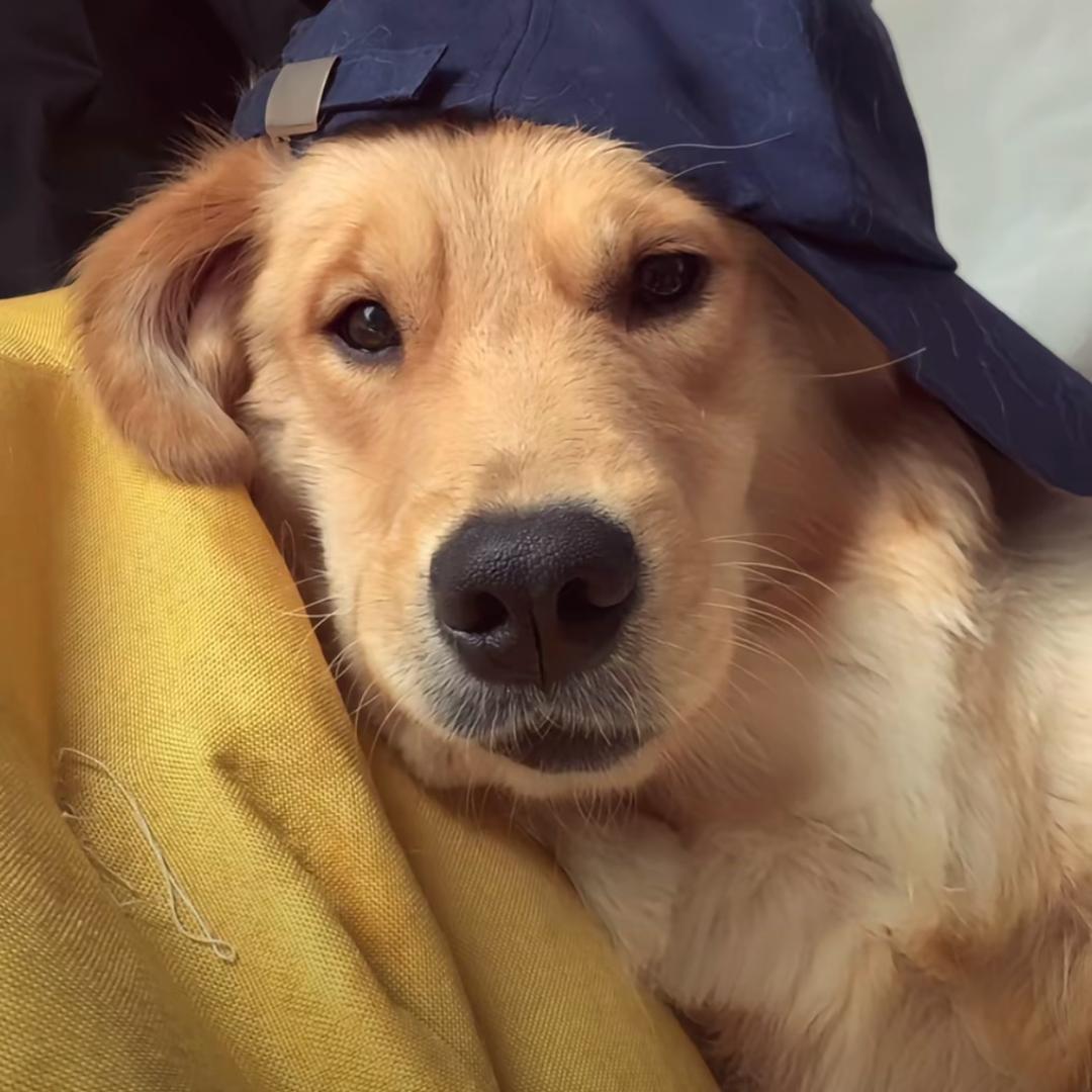 ￴ ￴￴ ￴￴￴ ￴￴ ￴