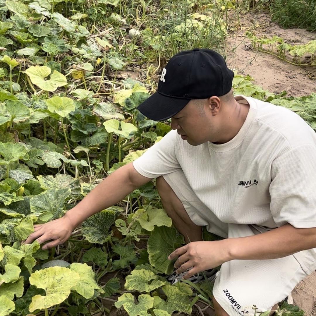 新疆甄选特产 | 领航