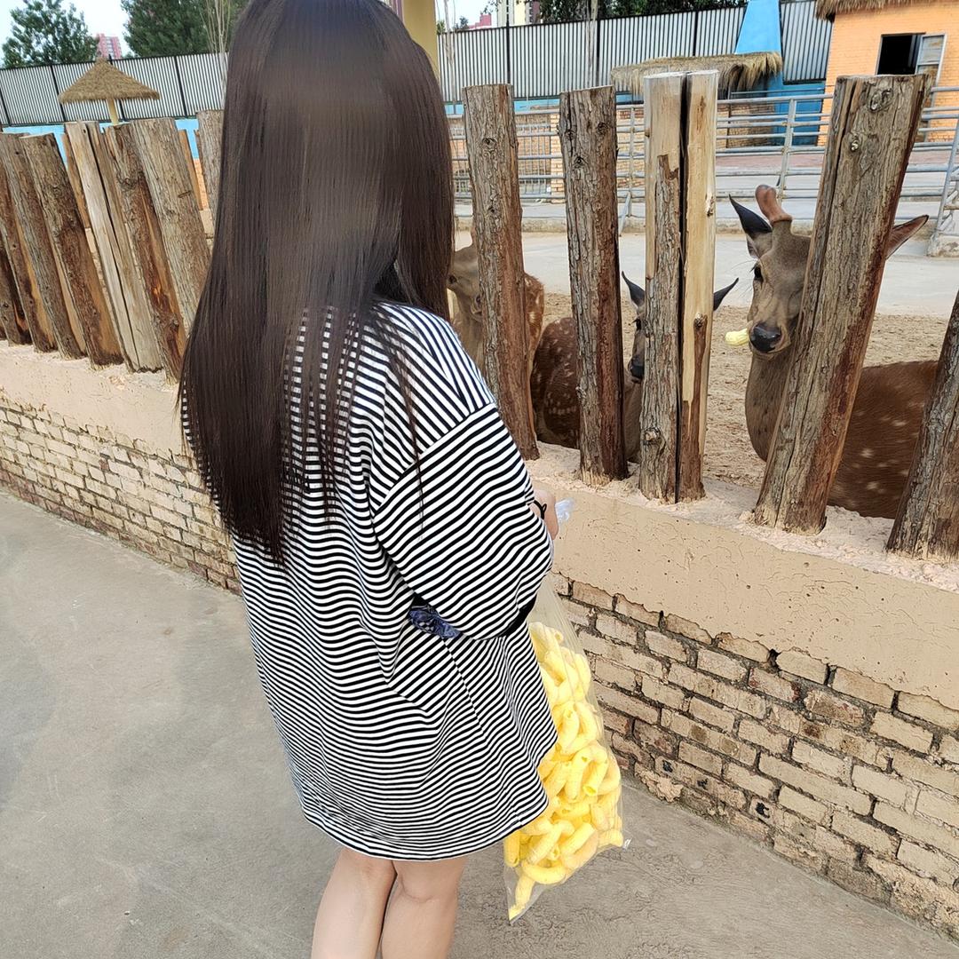 石头的温度°