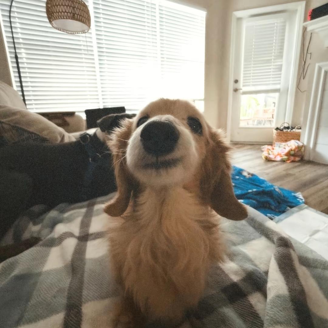 W.