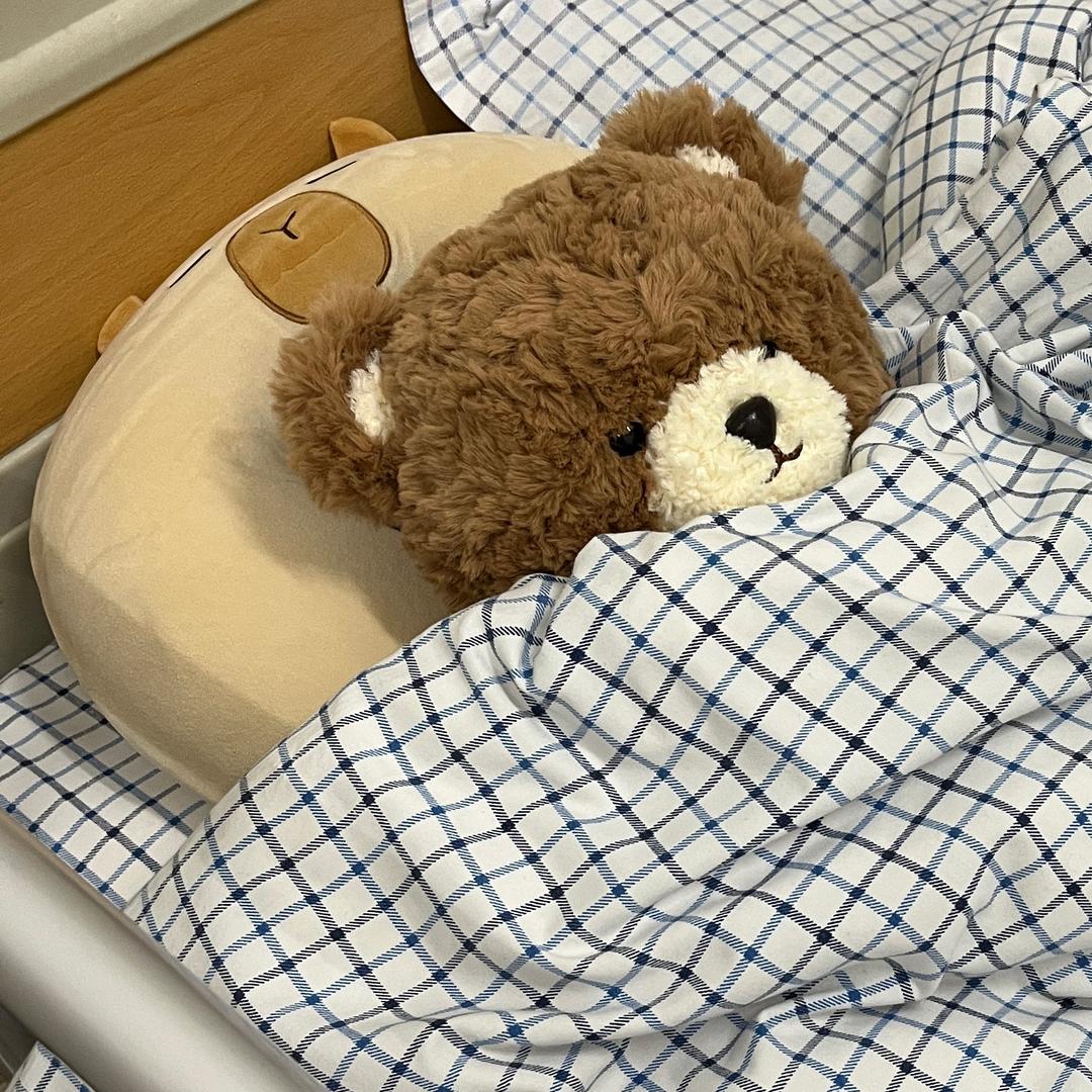 重生之我在我家铲猫屎