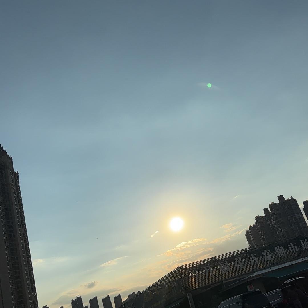 月亮豆🍚