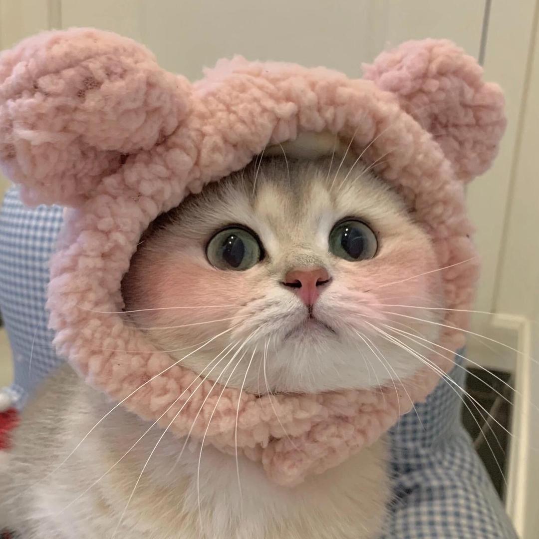 哎呦