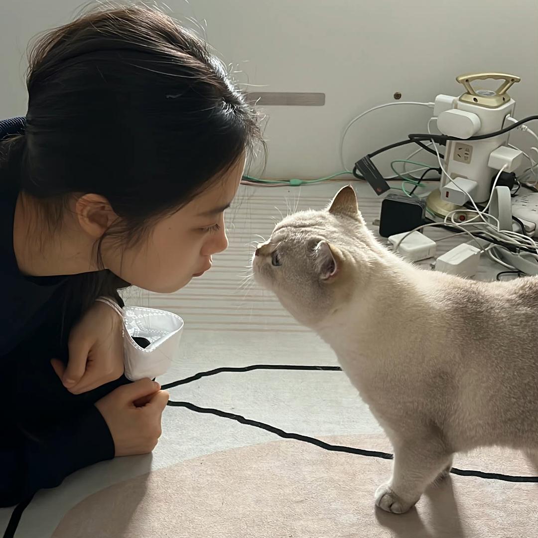 小午y